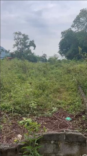 siêu phẩm 4400m2 800m2 thổ cư, mặt tiền 40m gần ql21a, phân lô cực đẹp