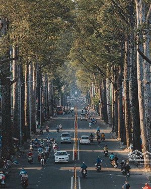 toà nhà 1 hầm 7 tầng (1.177m2 sàn sử dụng), 11m x 21m (dtcn 212m2), mặt tiền đường 10m sư vạn hạnh