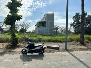 bán nhanh lô đất mặt tiền đường của tân an long an