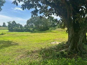 bán đất có sổ đỏ chính chủ sang tay ngay tại xã thanh mỹ, sơn tây, hà nội. giá chỉ 20 triệu/ m2.