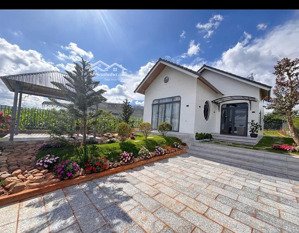 villa sân vườn full nội thất 3 tỷ 7 ngoại ô đà lạt, gần 500m² sẵn thổ cư
