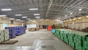 cho thuê kho xưởng rộng 1000m2 ngay chợ phường 7, bến tre. hệ thống pccc đầy đủ