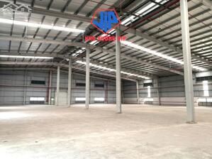 Cho Thuê Nhà Xưởng 15.390m2 Sản Xuất Mọi Ngành Nghề Tại Bến Lức, Long An