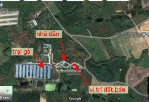 bán đất tại phú ngọc, định quán, đồng nai, 950 triệu, 1300 m2 giá cực chất