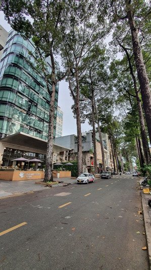 hàng hiếm! bán nhà 2 tầng sương nguyệt ánh, p. bến thành, giá chỉ 8 tỷ