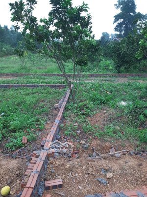 lô đất thổ cư giá rẻ nhất phú sơn, ba vì, hà nội. cách tỉnh lộ 411c (có xe bus chạy qua) chỉ 800m