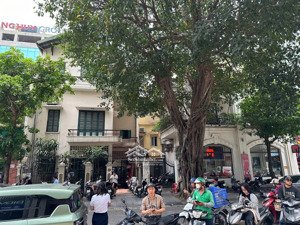 bán nhà tầng 2 mặt phố đoàn trần nghiệp - hai bà trưng dt 11m giá 21 tỷ( đừng ai ném gạch đá em)