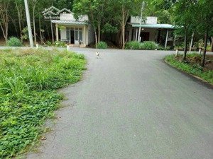 bán đất chánh phú hòa thổ cư 60m2, đường nhựa thông, 115m2 còn thương lượng, shr