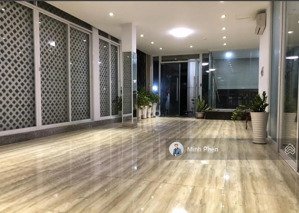 siêp phẩm tòa nhà chdv mạc đỉnh chi, q1 - dt : 8.2 x 15m ( cn ~110m2 - 7 tầng ) chỉ 34.9 tỷ