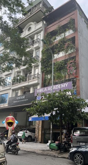 [ hiếm có khó tìm ] mặt phố nguyễn phong sắc cầu giấy 7 tầng văn phòng diện tích 80m mặt tiền 6m