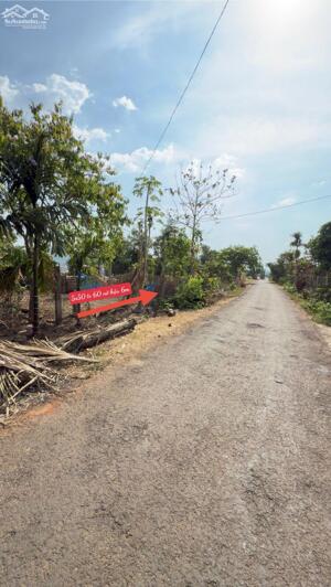 Đất TC 5*50m,Nở Hậu 6m,790tr ,Đường Số 1,Gần Nhà THờ,Phạm Ngũ Lão Thôn 8,nhiều lô khác