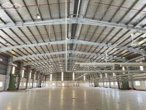 Cho Thuê Nhà Xưởng 10000m2 Mặt Tiền Sản Xuất Đường Cont 24/24 Long An