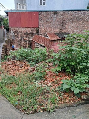 lô góc thoáng vĩnh viễn wiu sông ô tô thông ô tô ôtô vào đất