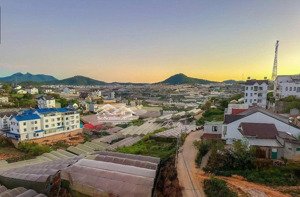 villa mới toanh trịnh hoài đức 276m2 nở hậu 3 tầng hoàn công view thoáng đẹp