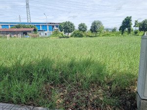 kẹt vốn ra nhanh lô đất gần chợ phường 7 đất kdc phường 7 ( kdc sao mai ), 110m2/620tr, full thổ.