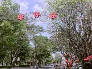 CHO THUÊ LÔ ĐẤT LÔ GÓC 250M2 THÔNG THOÁNG - LÔ 26A - LÊ HỒNG PHONG