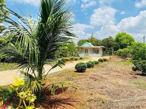 bán ngộp đất bình dương 500m2 thổ cư giá 400 triệu, gần ngay chợ