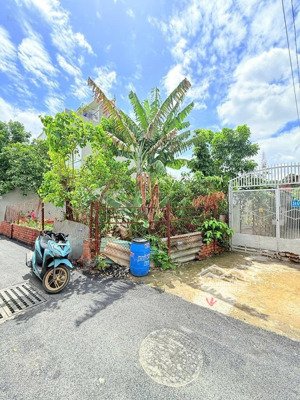 đất ngay trung tâm thành phố, giá đầu tư