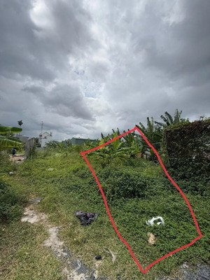 bán đất thổ cư 313m vườn lài an phú đông quận 12 cũ