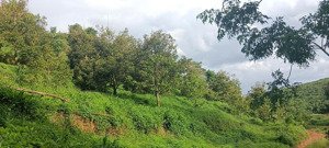 bán đất rẫy mđrăk đắk lắk 2.7ha đất đỏ, có sổ, nhà ở tiện nghi, giá chỉ 1.89 tỷ