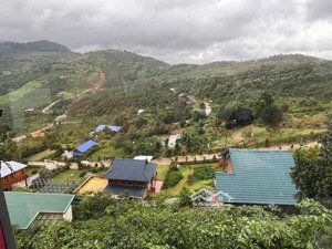 sở hữu mảnh vườn rộng hơn 1000m2 tại bảo lộc - không gian sống xanh giữa thiên nhiên