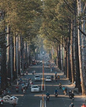 mặt tiền đường 15m cư xá lữ gia, p.15, q11, dt: 8,5m x 24m, nở hậu đều 10m, dtcn 220m, giá 42 tỷ