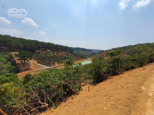 gia đình em cần bán 1,5hecta đã chuyển thổ cư và chia sổ nhỏ tại mê linh