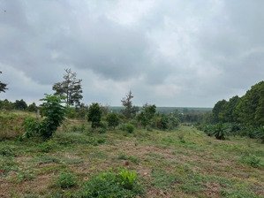 bán đất 7400m2 tại xã láng lớn, châu đức, bà rịa vũng tàu, giá chỉ với 8,2 tỷ