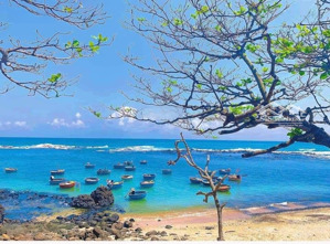 19 lô đất biển rẻ hơn 1 căn nhà phố.cơ hội đầu tư hơn lúc nào hết