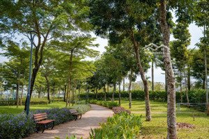 50 triệu để booking giữ chỗ view đẹp nhất căn hộ phong cách resort trong đô thị tích hợp waterpoint