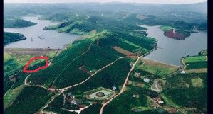 cần bán sỉ 11 lô cạnh hồ dacklong thượng, bảo lâm, có sẵn thổ cư