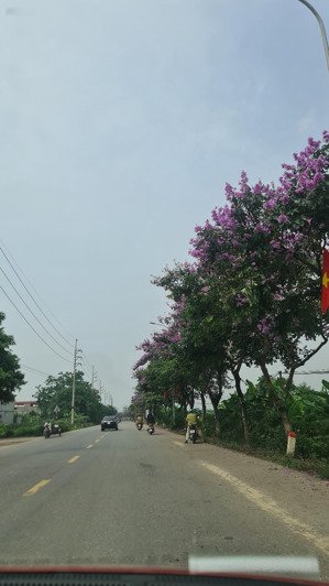 bán đất tại tỉnh lộ 82, phúc thọ, hà nội, giá thỏa thuận, 81.5m2, mặt tiền 5m, ngõ 3.5m