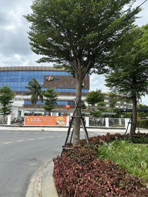 đất đẹp sát làng đại học fpt, 153m2, ngang đẹp 6m chỉ 4.4 tỷ phường điện ngọc, quảng nam.