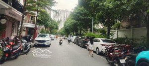 bán nhà phân lô đào tấn - phan kế bính - ba đình 50m2 lô góc 7 tầng thang máy 19.5 tỷ có tl