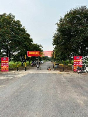 cần bán đất liền kề, biệt thự tại cienco 5 tân lập, đp, đường hqv kéo dài lh: 