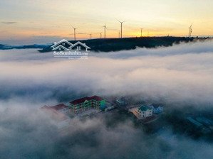 bán đất xây dựng view săn mây điện gió tại phường xuân trường, đà lạt