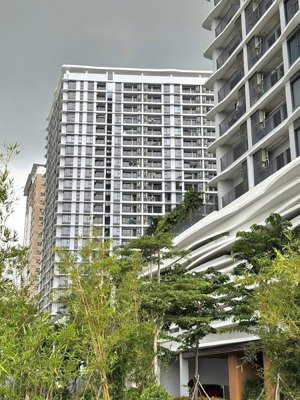 view penthouse giá căn hộ, tầng top 24, chỉ cần 767 triệu đầu tư không phát sinh - cho thuê từ 15tr