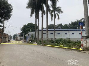 bán lô góc 243m2 trục chính khoang mái đồng trúc hòa lạc, cách 80m ra đại lộ thăng long, giá 9.8tỷ