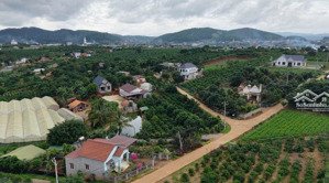 căn villa tại thôn 6 gia lâm, đang dần hình thành, view đồi thông xanh mướt