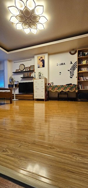 hiếm phân lô thông các ngả- nhà đẹp long lanh - lạc trung 47/52m 6 tầng mt 8.0 18.8 tỷ hai bà trưng