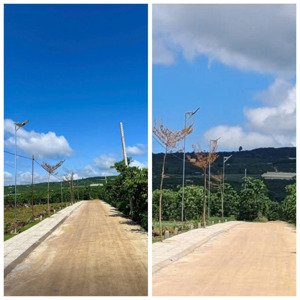 đất ven đà lạt đường ô tô giá tốt đầu tư