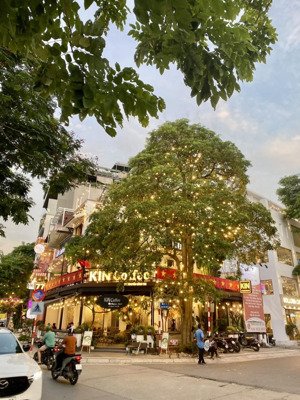 cho thuê nhà mặt phố tại nguyễn đình thi, tây hồ, hà nội, mặt tiền 30m, dtsd 500m2, view đẹp uy tín