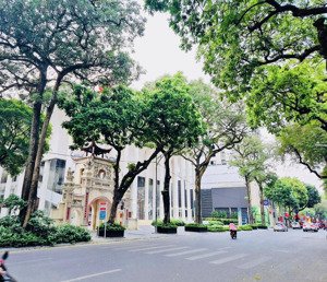 99 nhỉnh tỷ mặt phố huỳnh thúc kháng 1 toà duy nhất bán 115m mt10m lô góc 10 tầng dòng tiền khủng