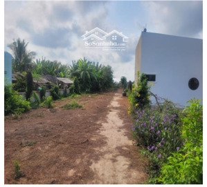 công ty đấu giá hợp danh sao việt
