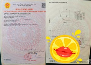 tôi là chủ đất. cần bán lô 2 mặt tiền gần chợ bình kỳ - hoà quý.90m2 ngang 8.5m. 2 đường ô tô thông