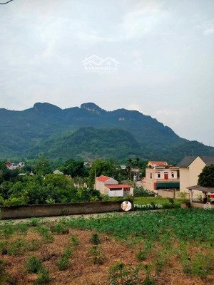 gia đình thực sự cần tiền bán gấp 420m phun thổ cư đất tại lâm sơn, lương sơn, hoà bình