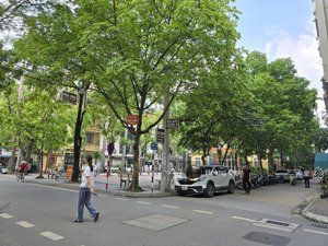 bán gấp phân lô phố ngụy như kon tum 55.8m2* mặt tiền 4.3m. vỉa hè rộng view khuôn viên chỉ 18.5 tỷ