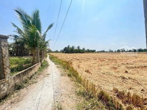chính chủ bán 500m2 đất lúa, cần đước, long an