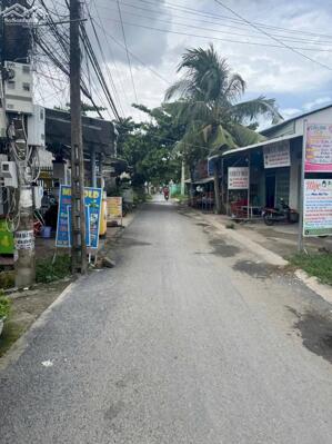  NỀN ĐẸP ĐƯỜNG HOA VIÊN CẶP TRƯỜNG ĐẠI HỌC CỬU LONG