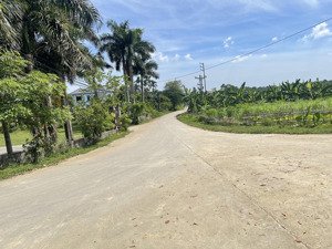 nhanh tay để sở hữu ngay lô đất đầy tiềm năng nha quý anh (chị)